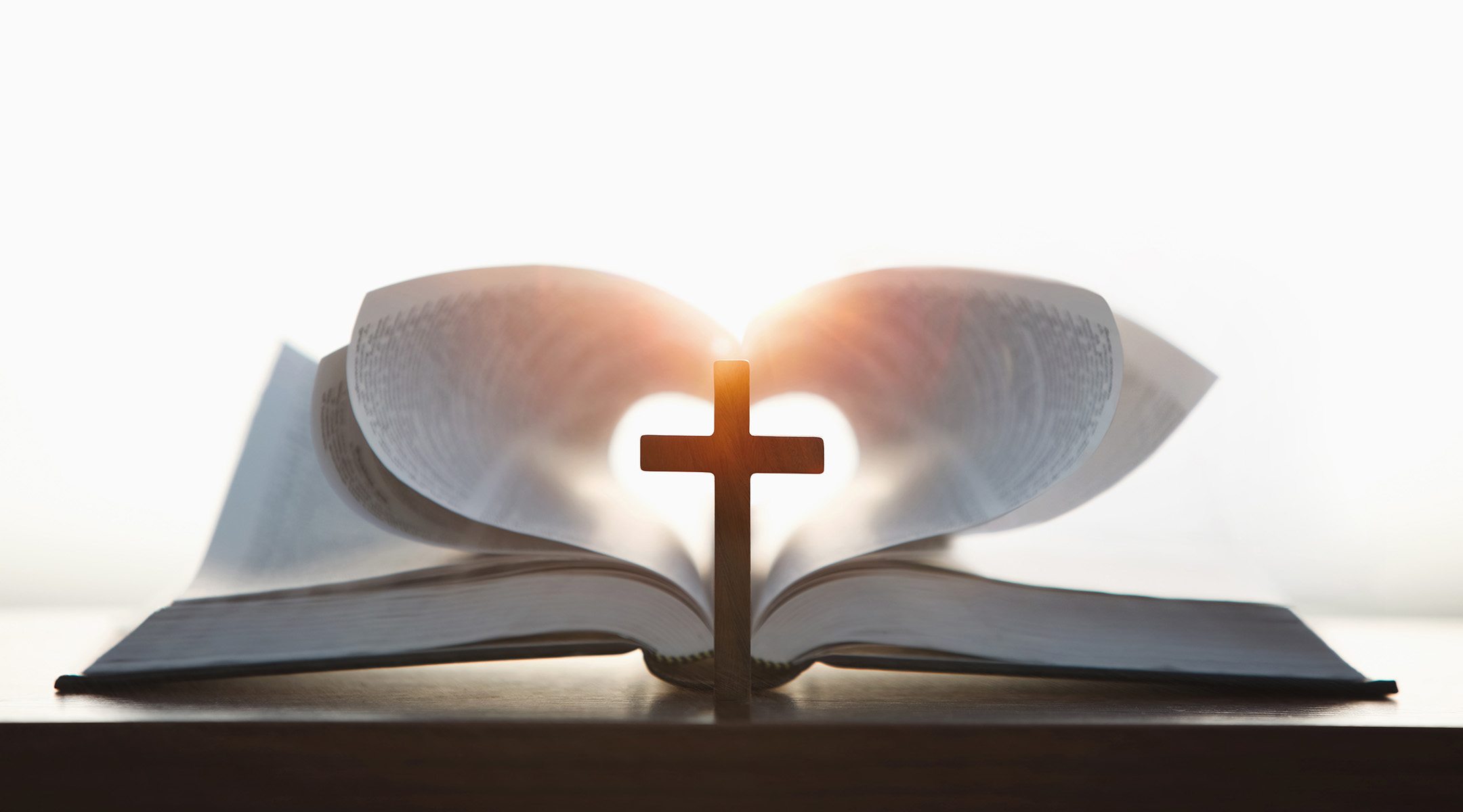 Warm light on an open Bible with flowers nearby